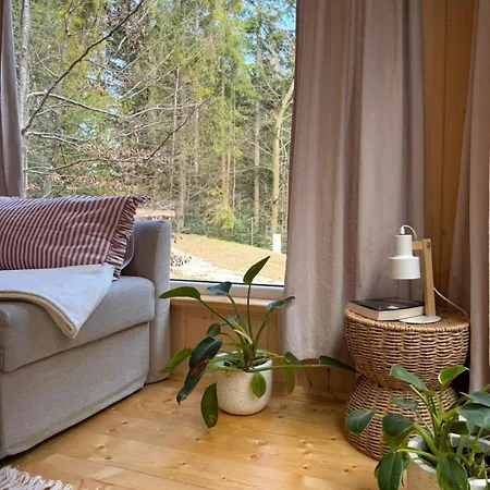 Tiny House Nad Potokiem Sidzina